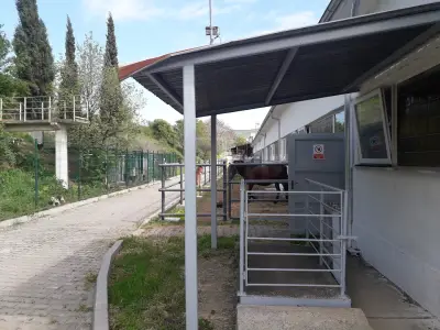 Университетска ветеринарна болница