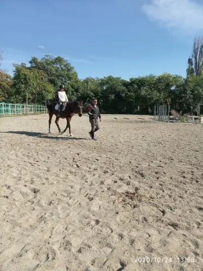 Ездови център Феномен