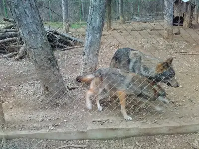 Аул БагаТур