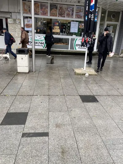 Aladin Foods