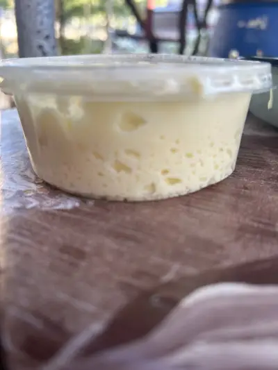 Шами