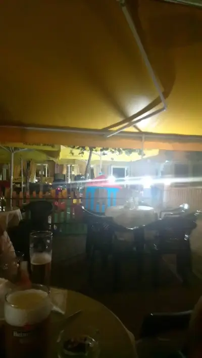 Цаца под липата