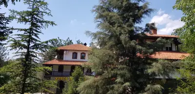 Hotel Levkion