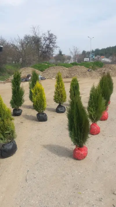 Хостел Шатрата