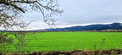 Кметство Ветрен