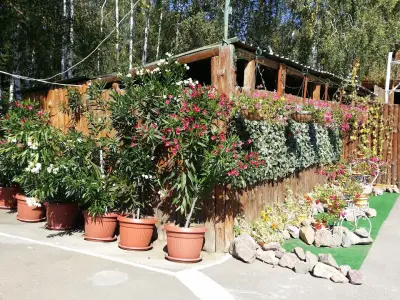 Басейн Белчин Бани