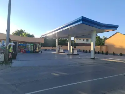 Имг ойл