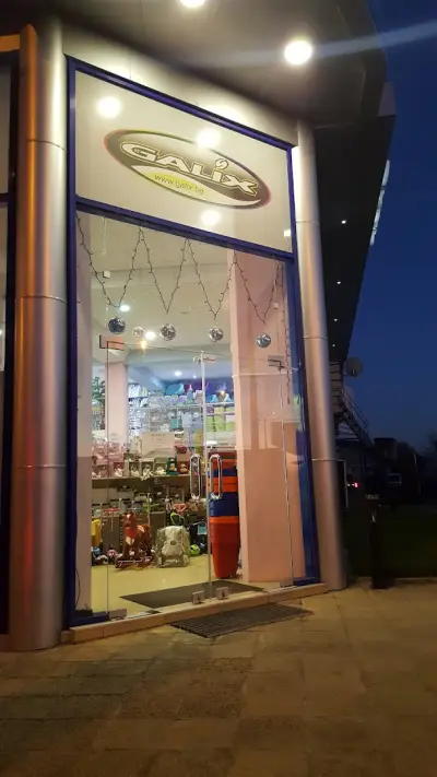 ГАЛИКС