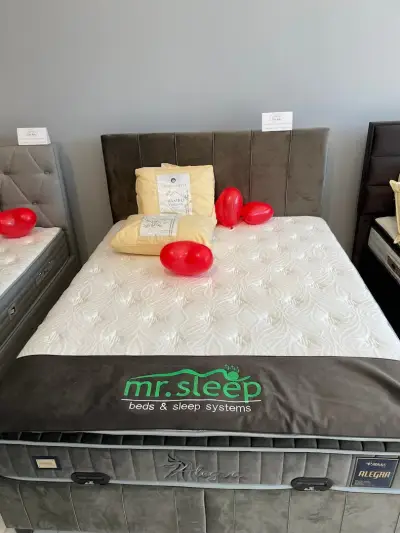 COZY BEDS & ACCESSORIES