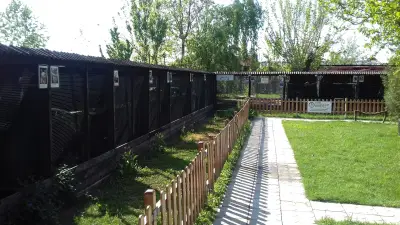 Спасителен център за диви животни - Зелени Балкани