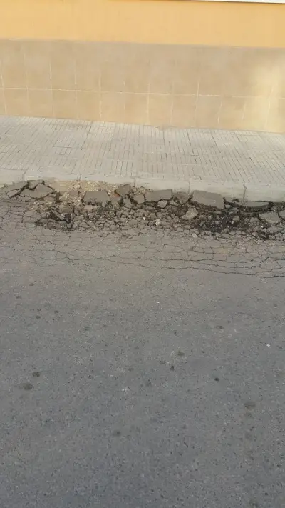 Елси Ко ЕООД