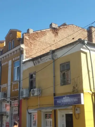 Шами