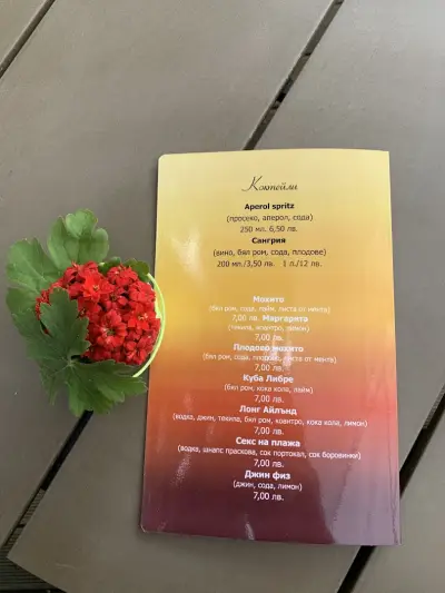 Cafe Chameleon