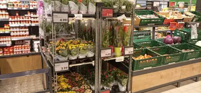 Kaufland Стара Загора - Бедечка