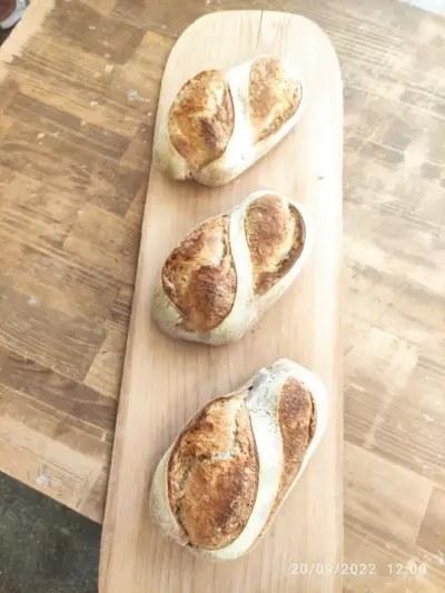 Топлата фурна