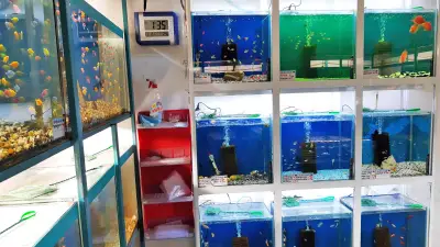 Зоомагазин Zoo Мания