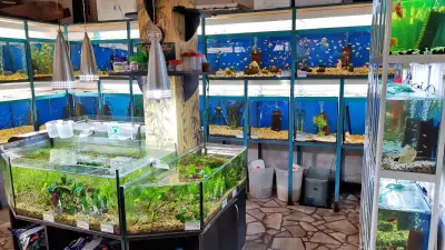 Зоомагазин Zoo Мания
