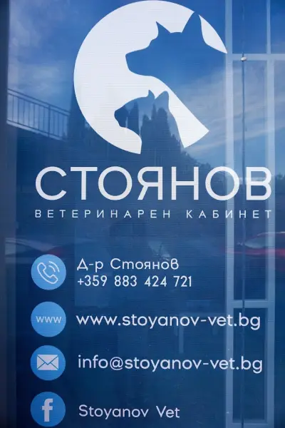 Ветеринарен Кабинет Стоянов