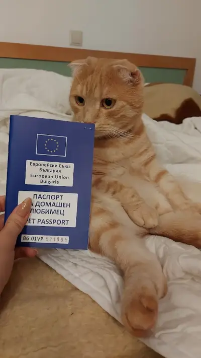 Прима Вет - Варна