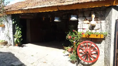 Интер Тур / Inter Tour Travel agency