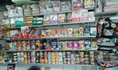 Зоомагазин Бъни