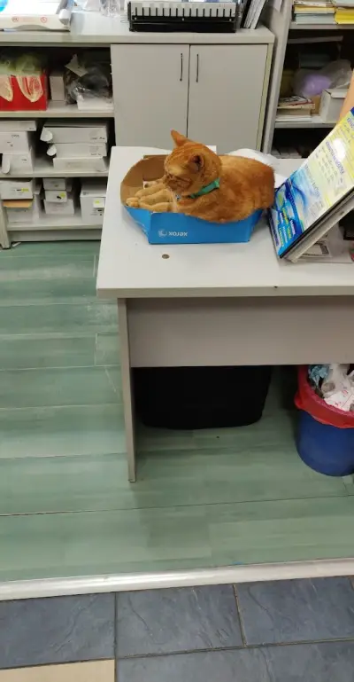 Office 1