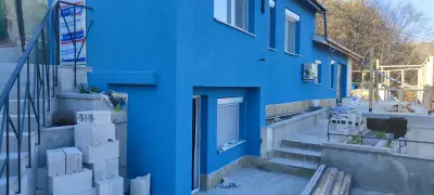 Салекс 1