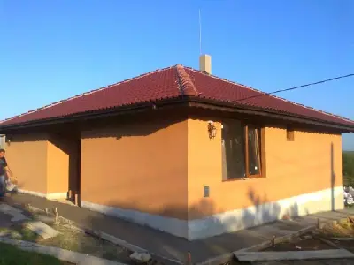 Салекс 1