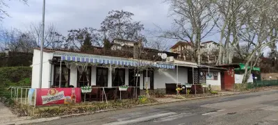 Ханче Ракитника