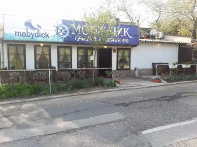 Ханче Ракитника