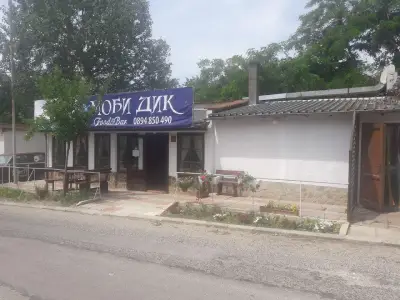 Ханче Ракитника
