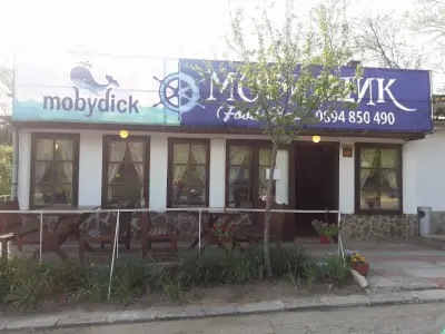 Ханче Ракитника