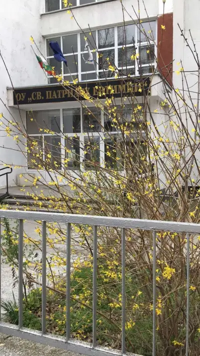 ОУ „Св. Патриарх Евтимий“