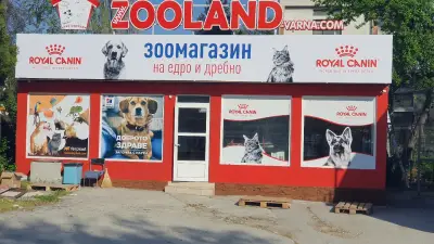 Зооборса
