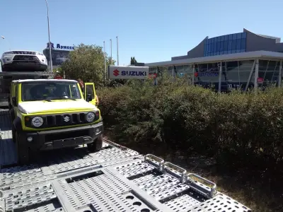 Service Suzuki and Kia