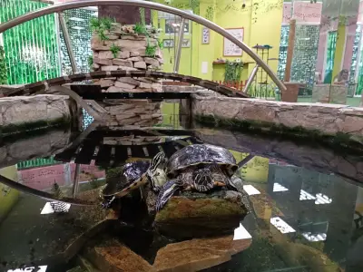 Butterfly House Varna