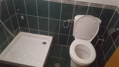 Еника