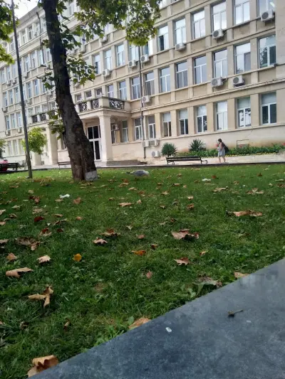 Йо Хо Хостел