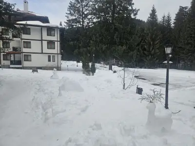 "Моето Любимо Място", Смолянски езера - "My Favorite Place", Smolyan lakes
