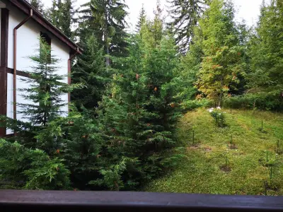 "Моето Любимо Място", Смолянски езера - "My Favorite Place", Smolyan lakes