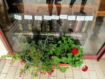 Винарна Евксиноград