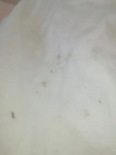 Clean Zone