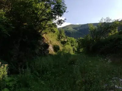 Кафетерия Албена-Стар