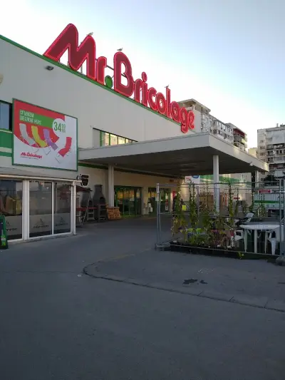 Мосю Бриколаж