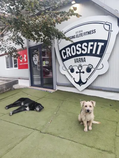 Crossfit Varna