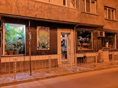 Джунглата