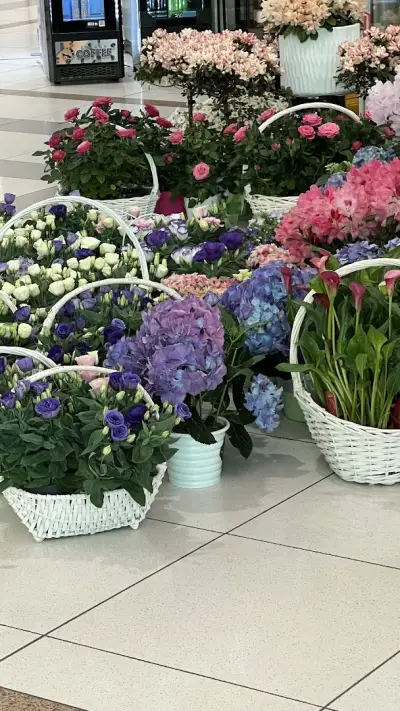 Romance - Grand Mall Varna