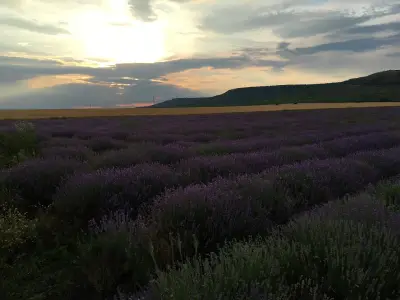 РСПБЗН – Девня