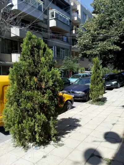 Вамиелектрик ЕООД
