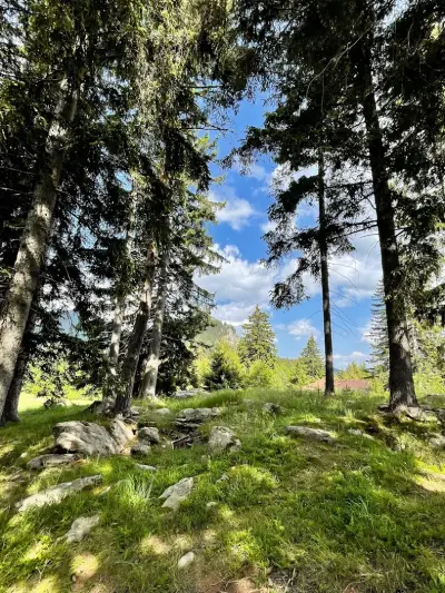 Oak Residence Hotel & Relax
